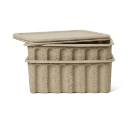 Fern Life Paper Pulp Box